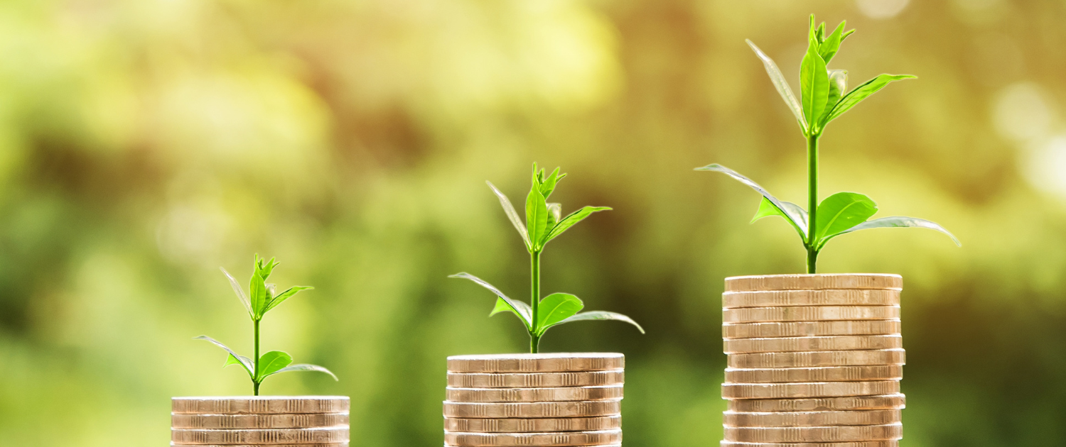 A stack of coins with a plant growing out of it

AI-generated content may be incorrect., Picture
